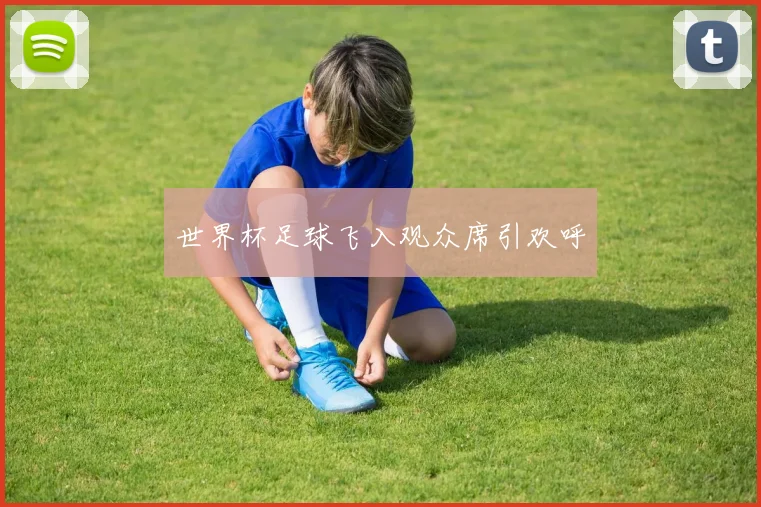 世界杯足球飞入观众席引欢呼