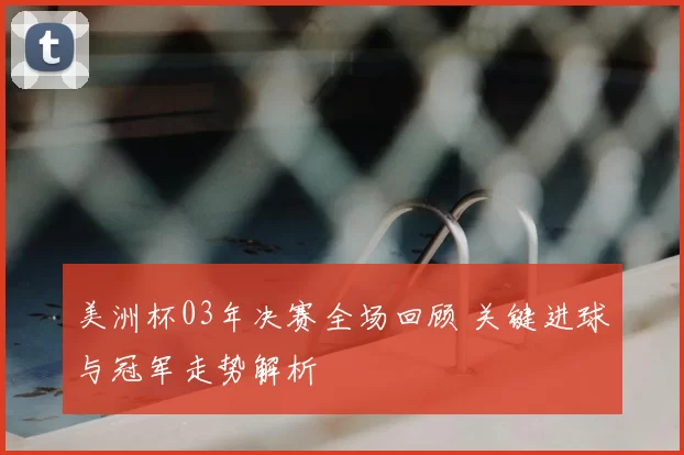 美洲杯03年决赛全场回顾 关键进球与冠军走势解析