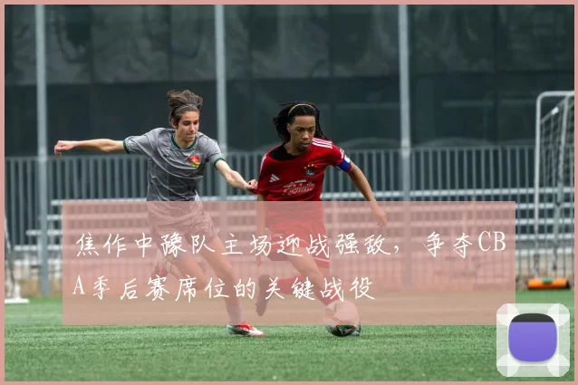 焦作中豫队主场迎战强敌，争夺CBA季后赛席位的关键战役